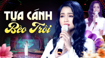 Tựa Cánh Bèo Trôi