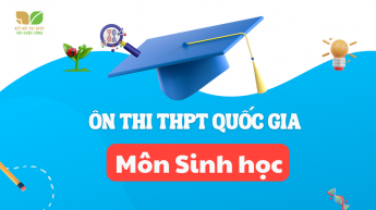 Sinh học 12 - ôn thi vào THPT - Bộ sách Kết nối tri thức