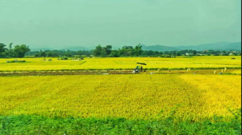 Tiếng Việt - Lớp 2 - Kết nối tri thức với cuộc sống