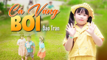 Cá Vàng Bơi - Bảo Trân