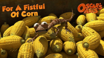 For a Fistful of Corn - Oscar's Oasis