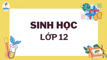 Sinh học - Lớp 12 - Bộ sách Cánh Diều