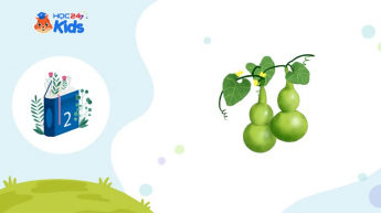 Tiếng Việt Lớp 2 - Bộ sách Chân trời sáng tạo - Chủ đề 39: Chuyện quả bầu