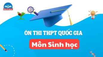 Sinh học 12 - ôn thi vào THPT - Bộ sách Chân trời sáng tạo