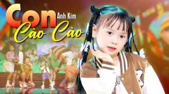 Con Cào Cào - Ánh Kim