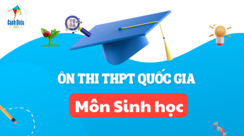 Sinh học 12 - ôn thi vào THPT - Bộ sách Cánh Diều